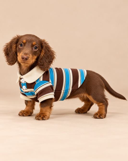 Stripe Polo